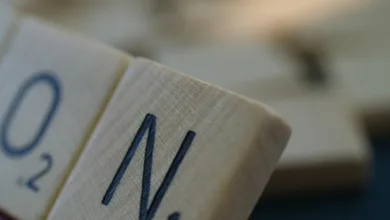 Trump unterzeichnet GENIUS-Gesetz: Neue Regeln für Stablecoins in den USA