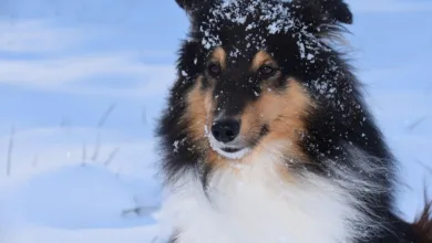 Ermittlungen führen zu Festnahmen in großem Krypto-Betrugsfall in Spanien