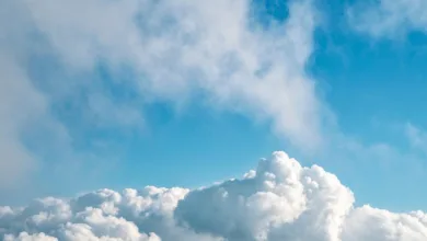 Trumps Crypto Blue Chip ETF: Überraschende Münzwahl für Investoren