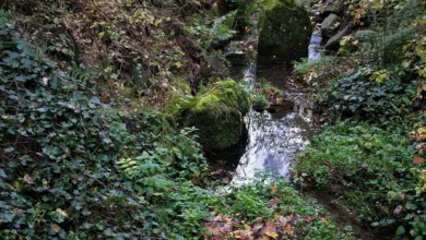 Chainlink: Steht der Kurs vor einem entscheidenden Wendepunkt?