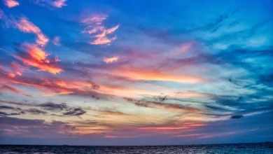 Die besten Crypto Casinos im Juli 2025: Innovative Spielerfahrungen entdecken