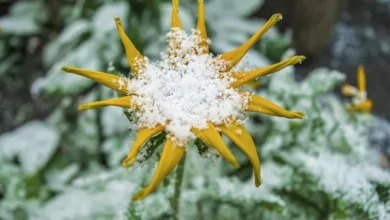 Erster gestakter Krypto-ETF in den USA: Solana eröffnet neue Perspektiven