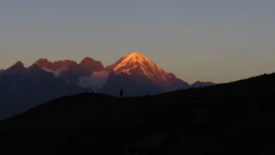 Die besten Krypto-Casinos im Juli 2025: Neuerungen und Chancen für Spieler