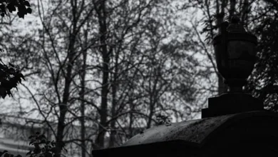 Bitcoin bleibt unter 120.000 Dollar: Altcoins verzeichnen Verluste