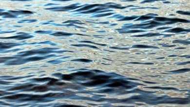 Ripple s $XRP und die bevorstehende Crypto Week der US-Regierung