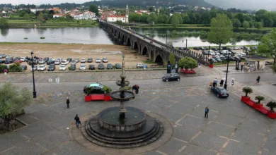 Bitcoin-Rally führt zu breitem Aufschwung bei altcoins in der Region