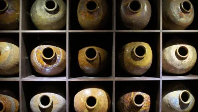 Regulierungswoche für Kryptowährungen: Gesetze und Erwartungen im Fokus