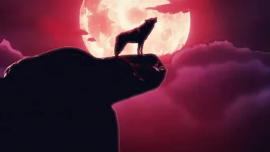 Rostec präsentiert RUBx: Der neue Stablecoin für digitale Zahlungen in Russland