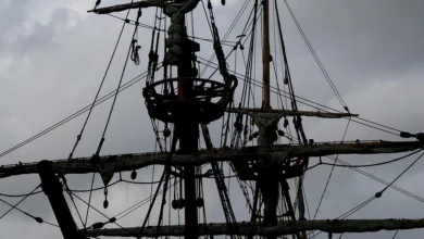 Pepeto: Ein neuer Stern am Krypto-Himmel im Fokus der Anleger