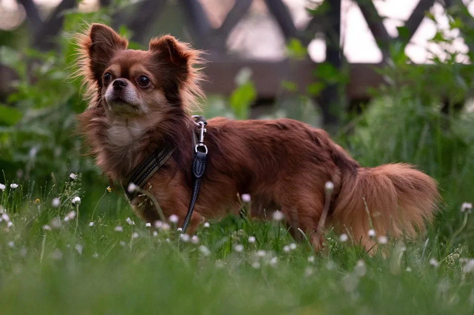 Die besten Crypto Casinos: Ein Blick auf August 2025