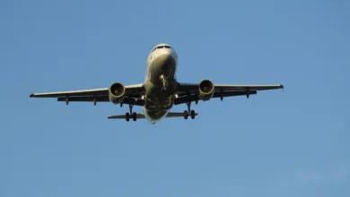 Altcoin-Rallye im Anflug: Institutionen positionieren sich neu