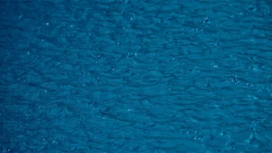 Divergenzsignale im Bitcoin: August 2025 unter Beobachtung