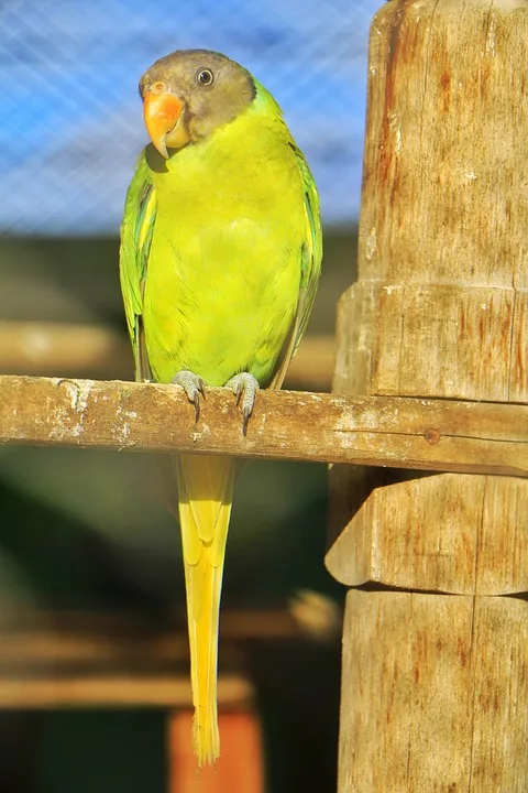 Regulierung und Chancen: Neue Ära des Krypto-Bettings