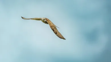 Neue Chancen für Kleinanleger: Zugriff auf Krypto-ETNs in UK ab 2025