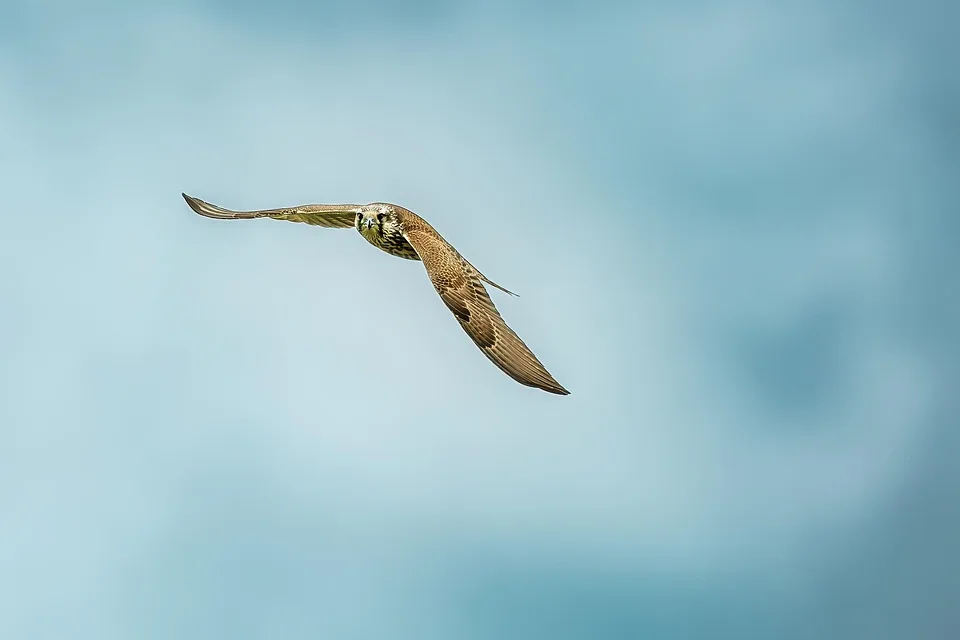 Neue Chancen für Kleinanleger: Zugriff auf Krypto-ETNs in UK ab 2025