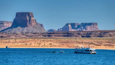 Krypto-Märkte steigen nach Powells Zinssenkungsaussichten