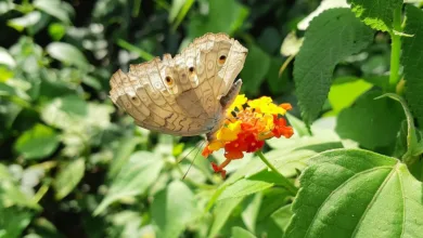 Die besten Online Crypto Casinos: Ein Blick auf August 2025