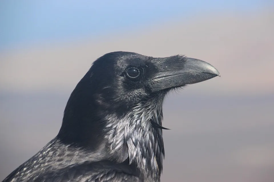 Crypto-Online-Casinos: Ein Blick auf die besten Anbieter im August 2025