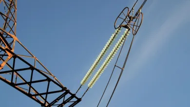 BlockDAG, HBAR und SHIB: Die Macht der Gemeinschaft im Crypto