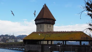 Ozak AI: Ein vielversprechendes Krypto-Projekt in der Region