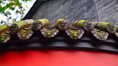 Chinas Einfluss: Hongkongs Rolle im globalen Krypto-Markt