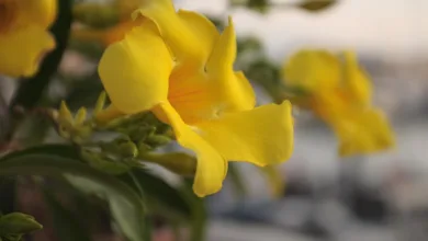 Krypto-Korrektur: Fünf Coins an kritischen Unterstützungsniveaus