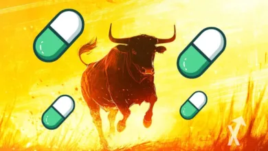 PUMP.Token: Erholungschancen im Kryptowährungsmarkt steigen