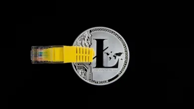 Der XRP Ledger: Schnelle Lösungen für fehlende Dezentralität