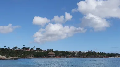 Bitcoin-Investments: Thiel und Saylor im Vergleich