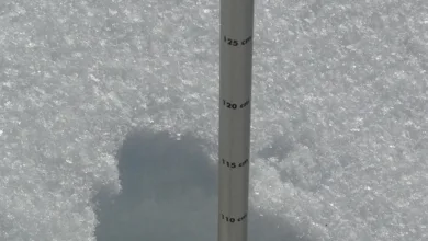 Neue Maßstäbe für Unternehmensfinanzen: XRP als Ertragsquelle