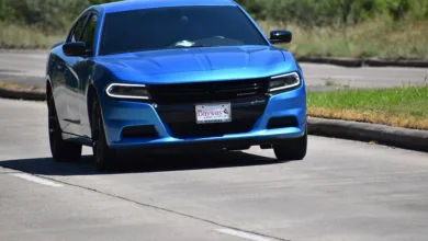 Potenzial von MAGACOIN FINANCE: Neuer Herausforderer im Krypto-Markt