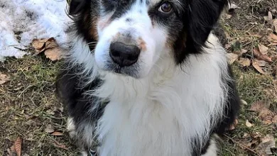 Krypto-Casinos 2025: Die besten Anbieter für Spieler in der Region