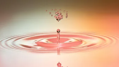 Neue SEC-Richtlinien zu Liquid Staking fördern Innovation