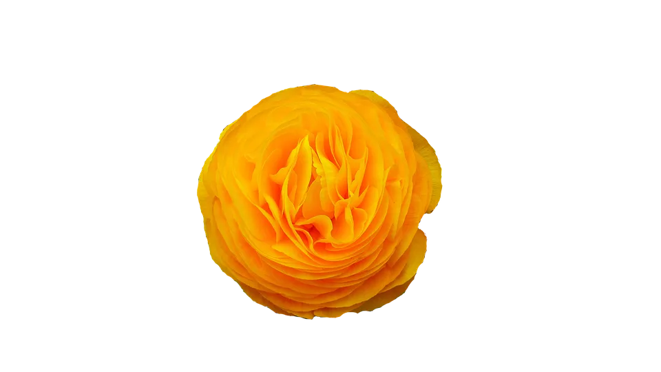 Altcoins im Aufwind: Tapiero sieht massive Chancen