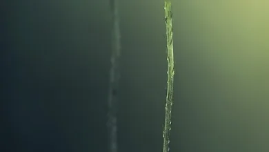 Krypto-Finanzierung: Revolution durch Stablecoins im Fokus