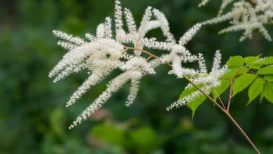 Kryptowährungen im Spar: Chancen und Herausforderungen für Käufer
