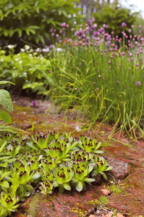 XRP-Ökosystem wächst: Stabilität und Infrastruktur im Fokus