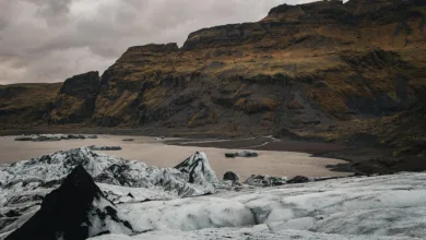 Cold Wallet revolutioniert Gehaltszahlungen mit Cashback-Modell