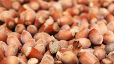 Lokale Kryptowährungen: Fünf Projekte mit 1000x Potenzial