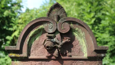 Die letzte Chance: Presale-Burn von Bitcoin Penguins steht bevor