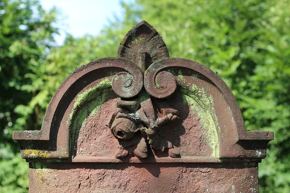 Die letzte Chance: Presale-Burn von Bitcoin Penguins steht bevor