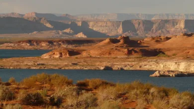 Ethereum erholt sich stark nach Powells Zinssenkungsaussichten