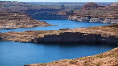 Bitcoin im Aufwind: Marktentwicklungen vor Powells Rede