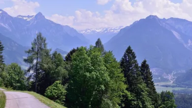 Ethereum erreicht neuen Höchststand: Ausblick auf die Altcoin-Saison