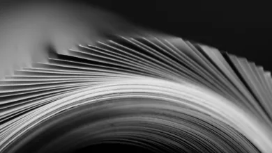 Grayscale erweitert Portfolio: Neue Altcoin-ETFs in Sicht