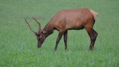 Ethereum über 4.880 $: Neuer Schwung für den Kryptomarkt