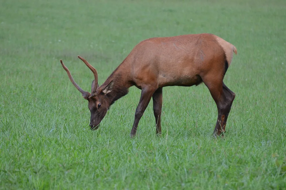 Ethereum über 4.880 $: Neuer Schwung für den Kryptomarkt
