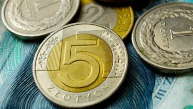 Stabile Münzen und DeFi: Die Zukunft der Kryptowährungen