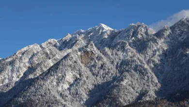 Krypto-Vorverkaufsführung: Warum Cold Wallet überzeugt