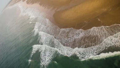 Die besten Crypto Casinos im August 2025 für Spieler in der Region